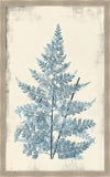 Long Fern in Blue I