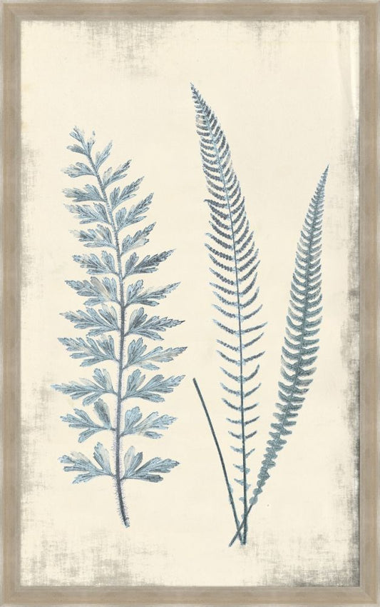 Long Fern in Blue II