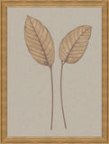 Leaves in Linen II
