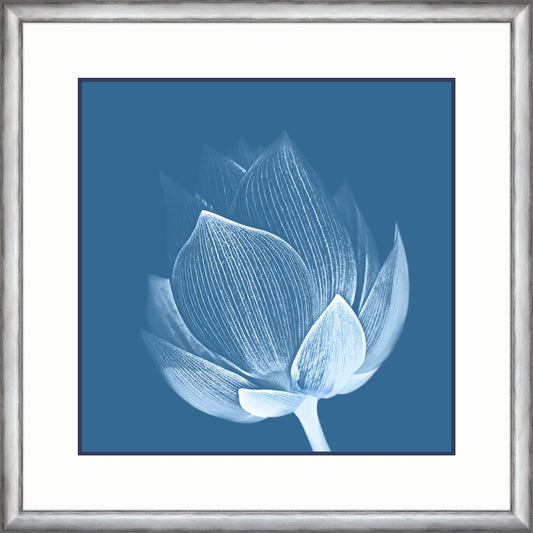 ESSENCE OF INDIGO  I