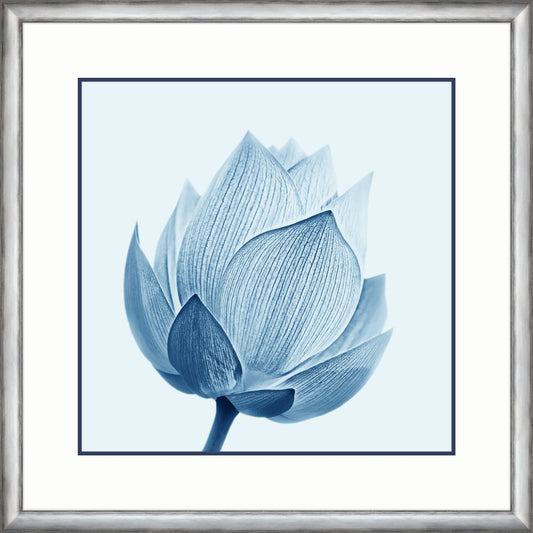 ESSENCE OF INDIGO IV