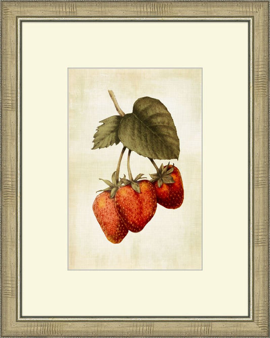 LOVELY FRUIT IV