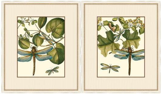 Dragonfly Medley Set of Two