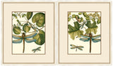 Dragonfly Medley Set of Two