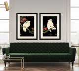 Cockatoo and Pomegranate II