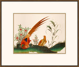 Exquisite Birds of Asia I