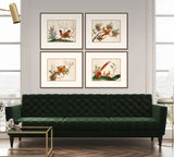 Exquisite Birds of Asia II