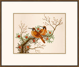 Exquisite Birds of Asia II