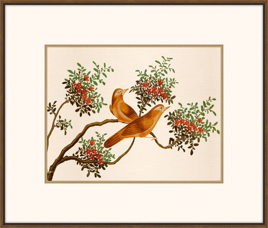 Exquisite Birds of Asia III