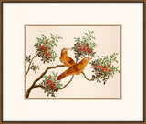 Exquisite Birds of Asia III