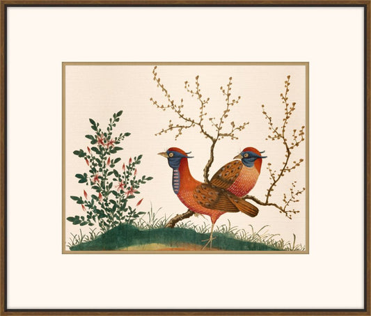 Exquisite Birds of Asia IV