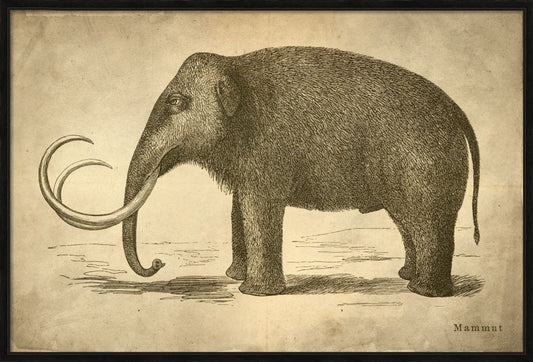 MAMMOTH
