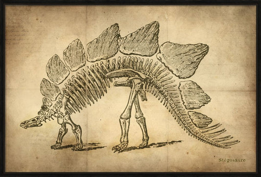 STEGOSAURUS