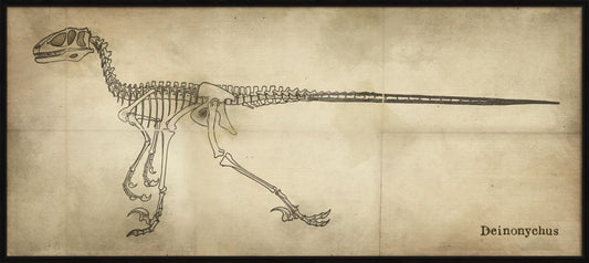 DEINONYCHUS