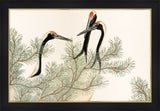Kamisaka Cranes