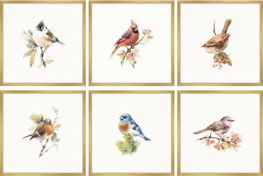 Watercolor Songbirds - Set of 6