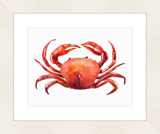 Watercolor Crab