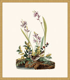 Audubon's Field Sparrow in Gold