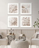 Alabaster Sea Life III