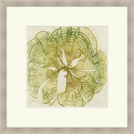 Brilliant Seaweed VIII