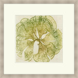 Brilliant Seaweed VIII