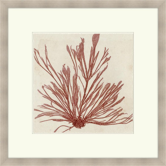Brilliant Seaweed IX