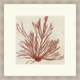 Brilliant Seaweed IX