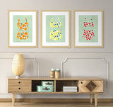 Fruity Suits, Set of 3