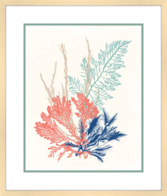 Sea Grass Collage III