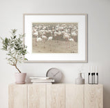 Gathering of Flamingos I