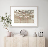 Gathering of Flamingos II