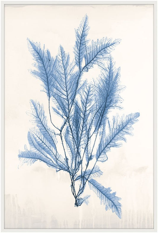 Bradbury Sea Grass V Blue