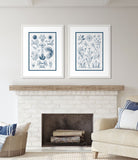 Haeckel Kunstformen I