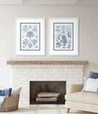 Haeckel Kunstformen III