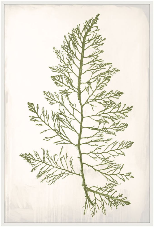 Bradbury Sea Grass I Green