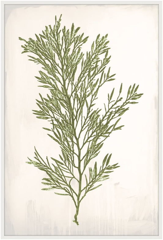 Bradbury Sea Grass II Green