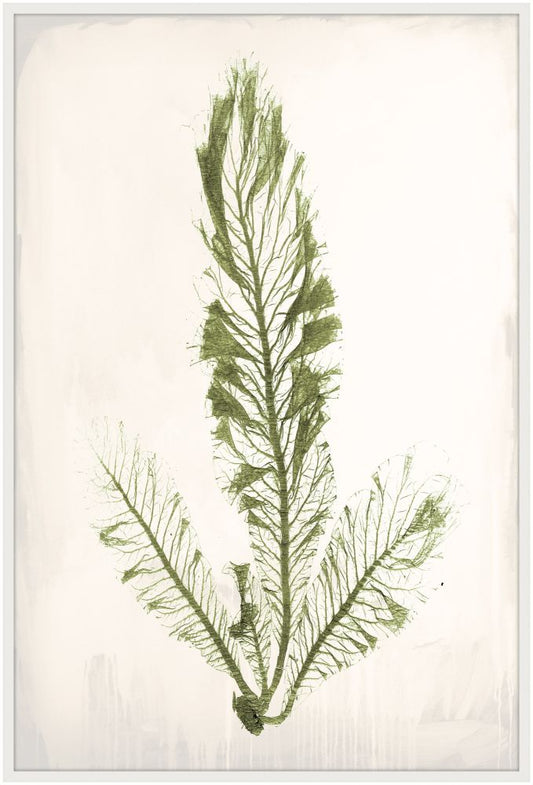 Bradbury Sea Grass III Green