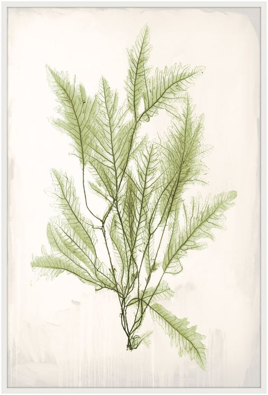 Bradbury Sea Grass V Green