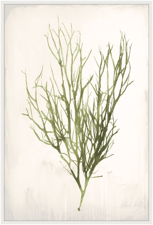 Bradbury Sea Grass VI Green
