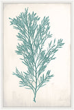 Bradbury Sea Grass II Teal Petite