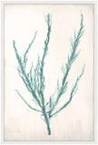 Bradbury Sea Grass IV Teal Petite