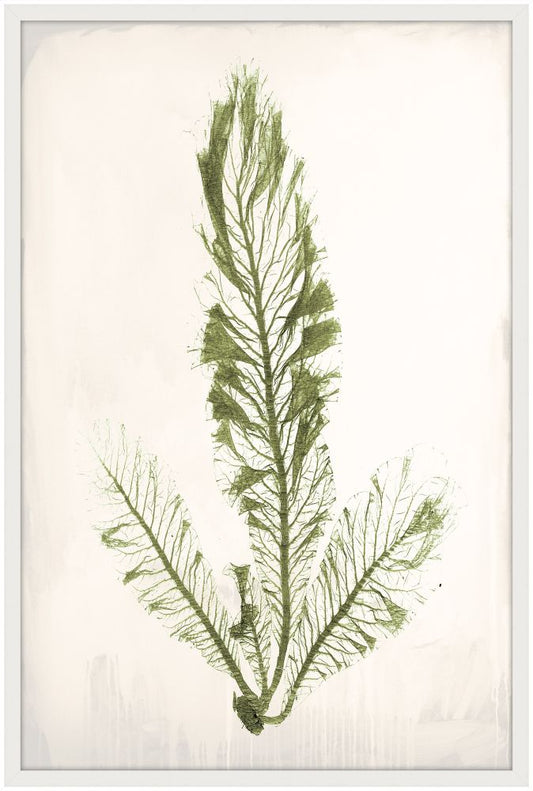 Bradbury Sea Grass III Green Petite