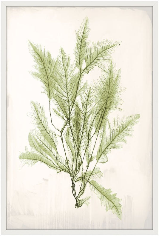 Bradbury Sea Grass V Green Petite