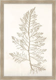 Bradbury Sea Grass I Taupe