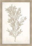 Bradbury Sea Grass II Taupe