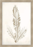 Bradbury Sea Grass III Taupe