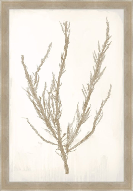 Bradbury Sea Grass IV Taupe