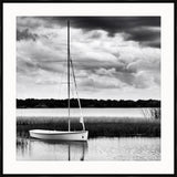 Sailboat in the Reeds