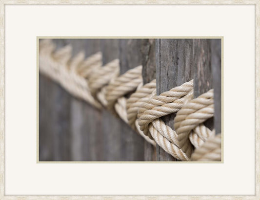 Knots on the Pilings II