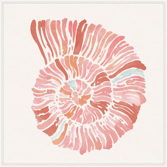 Nautilus in Pretty Coral II